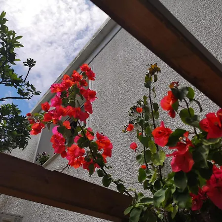 By The Sea * Ándros